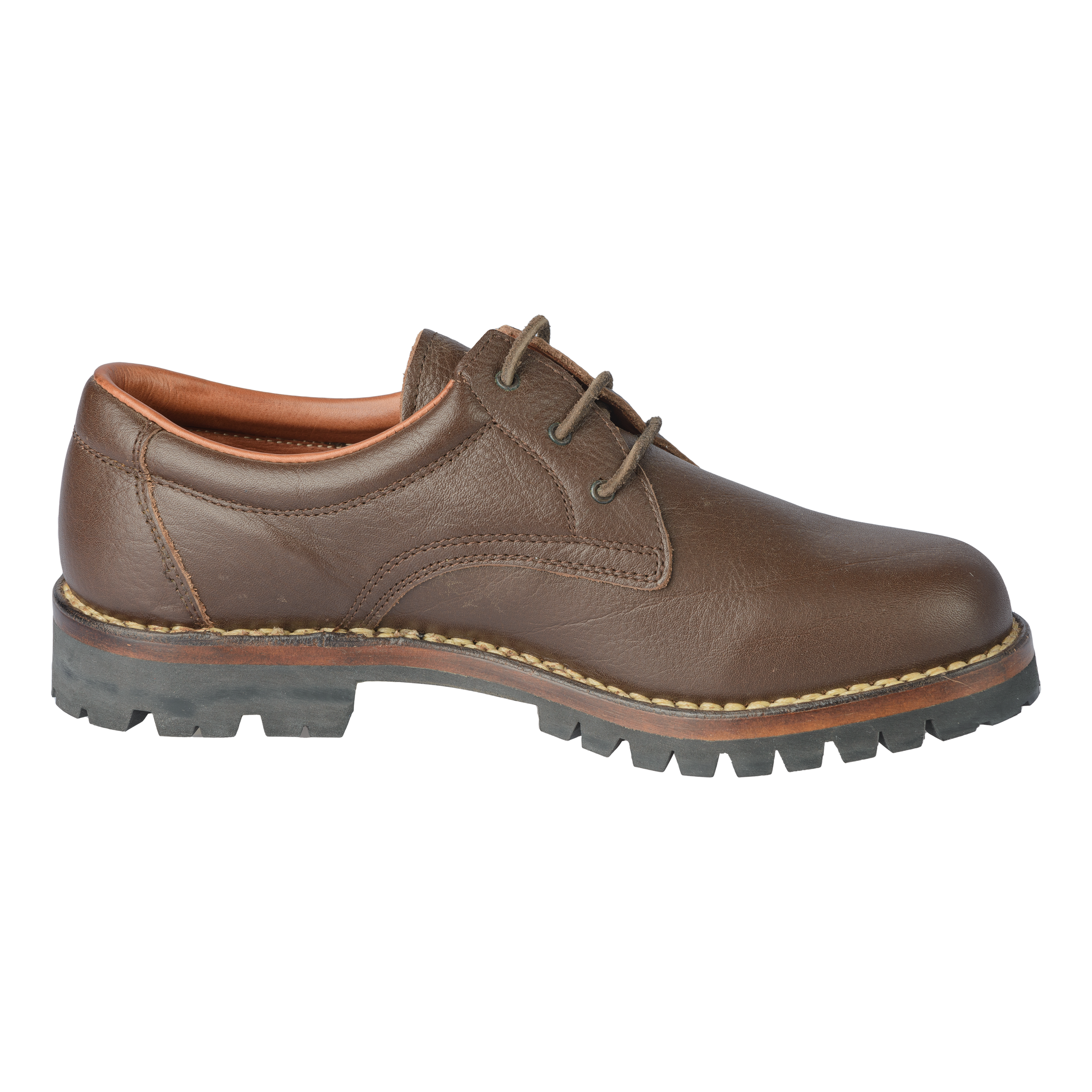 Citta_braun_innen Citta_braun_innen